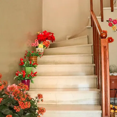 νatasas Place In Evia *