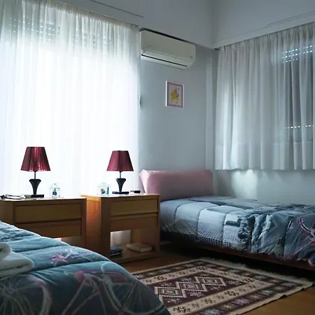 νatasas Place In Evia Apartment